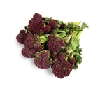 Brocolli Purple Sprouting UK