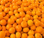 Mandarine